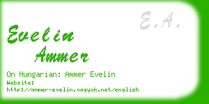 evelin ammer business card